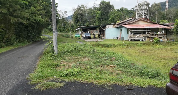 Tanah kisap langkawi untuk di jual 